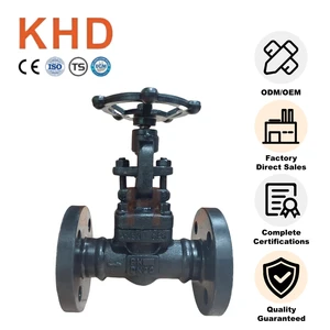 KHD Factory Forged Steel Globe Valve Industrial Api DN20 A105N Control Globe Valve