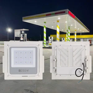Explosion Proof Exterior Canopy Lighting LED Canopy Light 100 Watts Petrol Station Ceiling Light