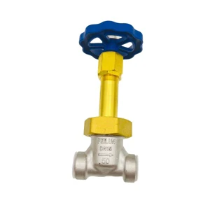 LN2 LO2 LAr Globe Valve
