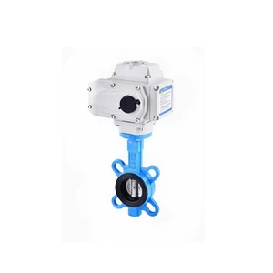 High quality Electric butterfly valve D971X 220V24V DN40 DN50 DN65 DN80