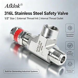 Stainless Steel Threaded Port High Pressure Manual Control for Gas Oil Base Acid General Application Safety Relief Valve