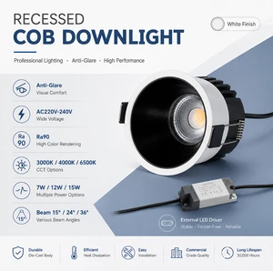 Commercial Recessed LED Downlight High CRI Ra90 Eaglerise Driver IP20 Indoor Round 6063 Aluminum COB Spot Downlight