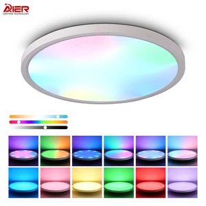 Indoor Ultra Slim Smart LED Ceiling Lamps RGB 3000K-6500K Adjustable 28W/38W/48W Surface Mounted for Dining Room Living Room