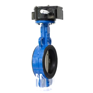 Butterfly Valve Ductile Iron Support OEM Customized High Performance Manual DN50-DN300 3-Year Warranty Water High Temperature