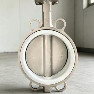 Stainless Steel Butterfly Valve 2