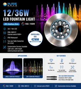 304ss Ip68 LED Light Source For Fountain Pond Lighting DMX 512 3IN1 RGB/RGBW For Landscape Underwater Fountain Lighting