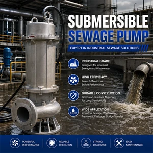 River Sewage Dredging Submersible Cutting 5.5kw-200kw Stainless Steel Sewage Pump Grey Water Submersible Sewage Pump
