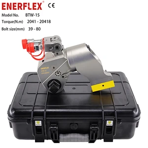 Adjustable Square Drive Hydraulic Torque Wrench Impact with Torque Control Power Pliers Tool 220v Industrial