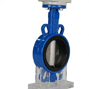 Sanitary Stainless Steel SS304 SS316L HandleElectric butterfly Valve Rubber Seal Ductile Iron Electric Flanged butterfly Valve
