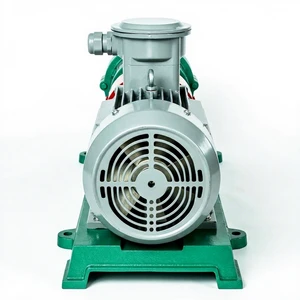 High-Pressure DC Motor Magnetic Pump Horizontal Magnetic Drive Pump For Mining Leaching Acid OEM