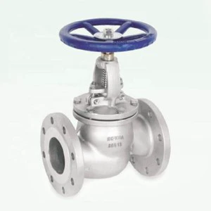Y Pattern Stainless Steel Globe Valve 304 316 1/2