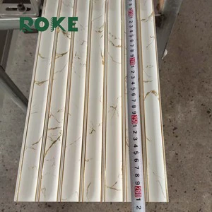 ROKE Hot Sale Fashion Design Waterproof Indoor Wall Panel Cheap Price PS Wall Panel Decoration PS Wall Panel