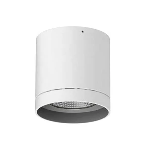 30-40W IP65 Outdoor Ceiling Surface Mounted LED Down Light