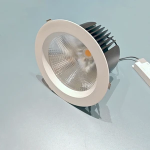 Industrial High Power High Output LED Downlight High Luminance Bright CRI 80W High Wattage Ceiling Spotlight Indoor Lighting