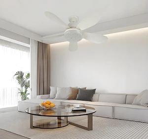 Modern Design Wholesale Price Indoor Bedroom Kitchen Smart Remote Control 3 Speed 3CCT Dimming Led Ceiling Fan with Light