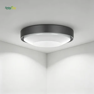 LED Ceiling Lamp 3500K/4100K/6000K Color Temperature Options Die-Casting Aluminum PC Construction Modern Style 3-Year Warranty