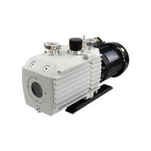 Industrial-Grade Two-Stage Rotary Vane Vacuum Pump 36m³/h High Pressure Made In China