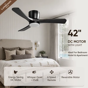 Ceiling Light with Fan,42 Inch Low Profile Bedroom Ceiling Fan with Remote Control and DC Motor