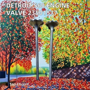 Best price First Class Engine Valve