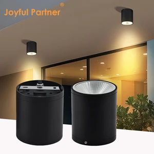 Most Popular Surface Mounted Adjustable Aluminum Wall Light IP65 Waterproof High Lumen Outdoor COB LED Ceiling Light Dimmable
