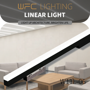 WFC Lighting OEM/ODM 6000K Cool White DMX512 DC24V Linear Facade Light for Bridge IP67 6063-T5 Aluminum >90Ra 3-Year Warranty