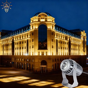 10W 15W 20W IP65 Aluminum Wall Washer Narrow Beam LED Spotlight Flood Light for Outdoor Landscape and Garden Buildings