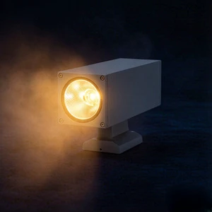 Yangtai Lighting COB Waterproof Double-head Wall Lamp Solution Proposal Architectural Exterior Lighting for Bridges