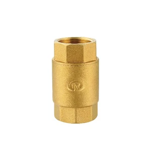 DKV NPT BSP Thread Brass Spring Check Valve Vertical One Way Check Valve Brass Spring Non-return Check Valve Backflow Preventer
