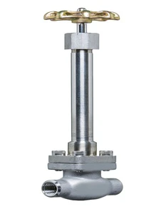 Cryogenic Globe Valve SS 304L for Low Temperature Applications