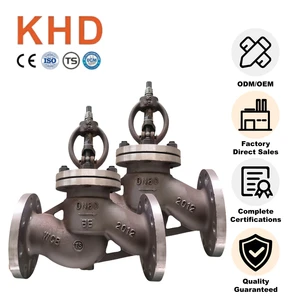 OEM ODM WCB Cast Steel Flanged Globe Valve with 316 Stainless Steel Disc and Bonnet for Petrochemical Power Plants Custom Size