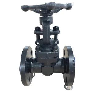 Forged Steel Flanged Globe Valve (A105) Manual Stop Valve for Water Applications OEM Customizable
