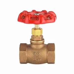 Bronze Globe Valve Copper Metal Useful Various Size Valve Made In China