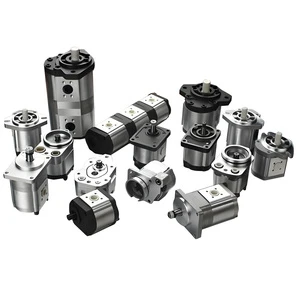 High Pressure Rotary Hydraulic Gear Oil Pump Forklift Speed 500-3200 Rpm Hydraulic Gear Pumps Pump Rotari Gearmicro Gear Pump