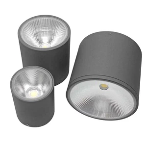 IP65 Outdoor Surface Ceiling 10w 20w 30w 50w 100w Led Round Outdoor Light
