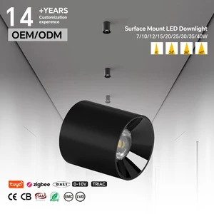 Suspended Hanging Wire LED Cylinder Downlight 7W Dali Dimmable Surface Mountable Indoor Light For Hotel Corridor Downlight