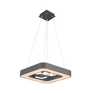 Factory Customized Modern Led Ceiling Lamp Ceiling Mounted Light Lights Modern Dining Lights