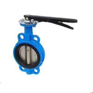 GGG50 Wafer Butterfly Valve, DN50-DN600 PN10 PN16 Resilient Seated Concentric Valve for Water Works & Irrigation