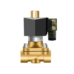 Stainless Steel Normally Open Solenoid Valve DC24 Water Pipe Control Drain Valve Electronic Valve Switch High Temperature