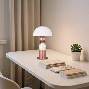Modern Elegant Light Rechargeable Bedside Desk LED Table Lamp for Study Restaurant Hotel