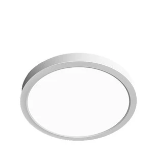 Addison Modern AC IP54 Waterproof LED Ceiling Light 3000K-6500K Color Temperature for Kitchen Outdoor Eaves Corridor Lighting