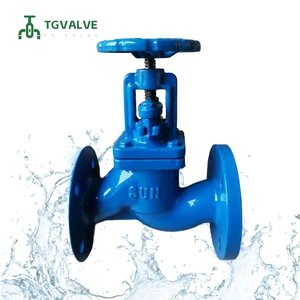 OEM Manual Safety Water Flanged Globe Valve DIN Cast Iron PN16 Custom Logo Color Factory
