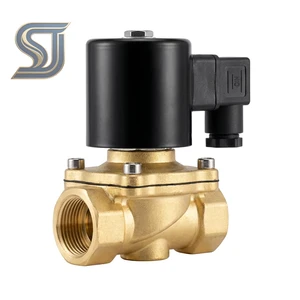 2W Brass Control Solenoid Valve 12V/24V/110V/220V 2 Way Normally Closed 1/4