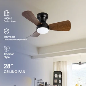 HSG Model 719 Black Flush 3 ABS Blades Metal Ceiling Fans with Remote Control and Light for Household & Hotel Use