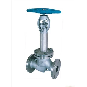 High Quality Stainless Steel Cryogenic Globe Valve for Sale