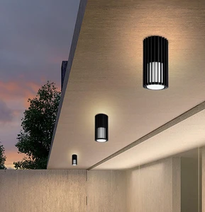 OTWM20001 Factory Stock Outdoor Ip65 Surface Mounted LED Ceiling Light 12W SMD Ceiling Lamp for Courtyard Park Porch Corridor