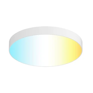 Modern Indoor Surface Mount Led Ceiling Lights Decorative Fixture Ceiling Lighting/ceiling Lights Led/led Ceiling Light