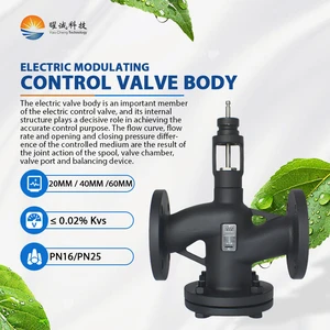 Control Valve Body 20mm/40mm/60mm PN16/PN25 DN15-DN450 Cast Steel Control Valve Body for Pressure Control