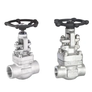 DKV 800Lb Socket Weld Forged Stainless Steel Globe Valve F304 F316L Forged Stainless Steel Class 800 Threaded Globe Valve SW End