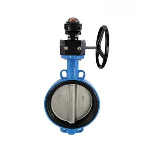 High Temperature Nylon Butterfly Valve with Manual Power Worm Gear Clamps for Water Media