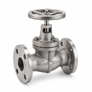 High Performance SS316L Globe Valve J41W 25R CF3M PN25 Flanged End Industrial Manual Handwheel Flow Control Globe Valve